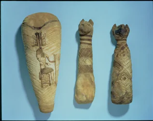 Mummified Cats and Ibis